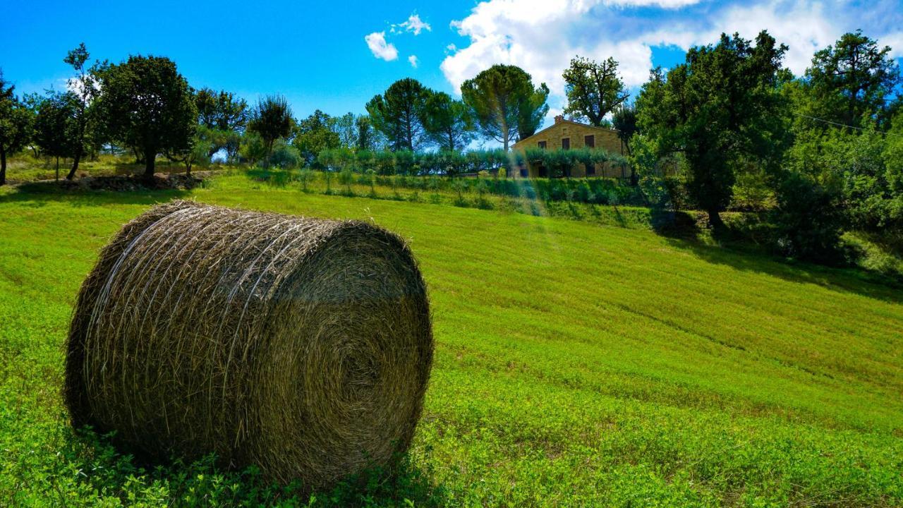 Farm stay Pascucci Tolentino